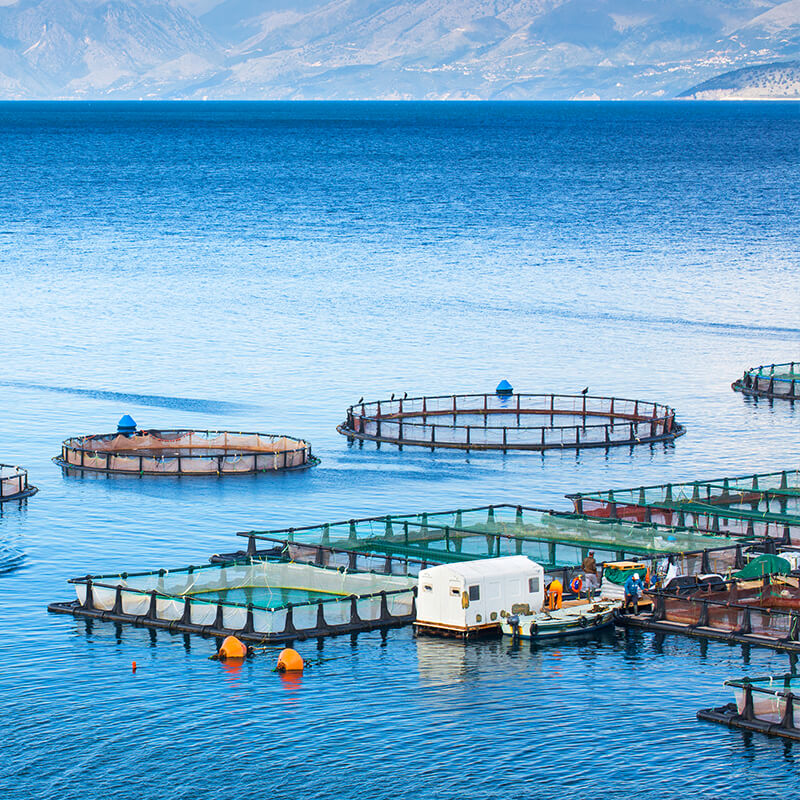 Solar-powered permanent magnet pump